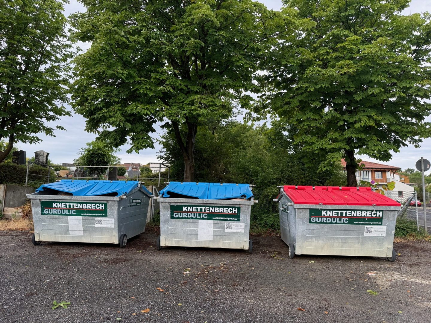 Containerbild willi